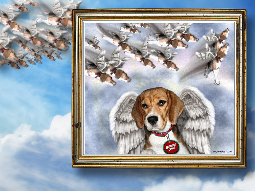 Beagle Heaven Wallpaper 1024x768 Click Here