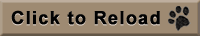 Click here to reload this page.