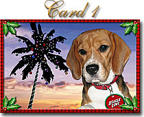 Cliock to see card